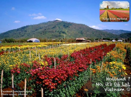 Ngỡ[-]ngàng[-]với[-]bộ[-]ảnh[-]ghép[-]Việt[-]Nam[-]đẹp[-]không[-]thua[-]kém[-]thế[-]giới
